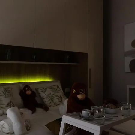 Monkey * 바리