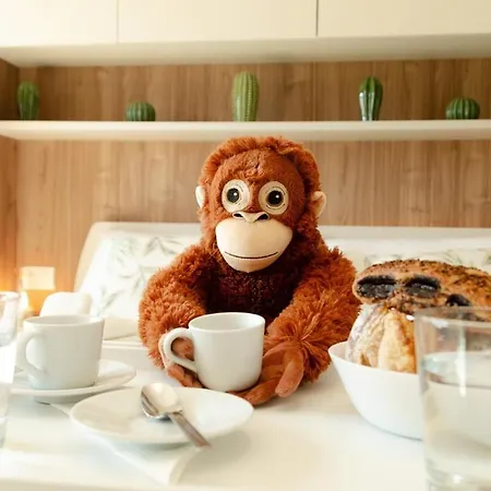Appartement Monkey