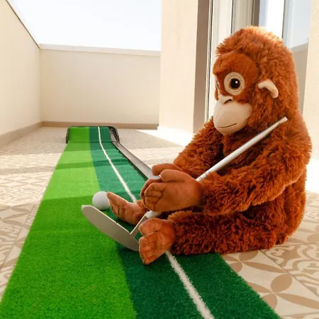 Monkey شقة باري